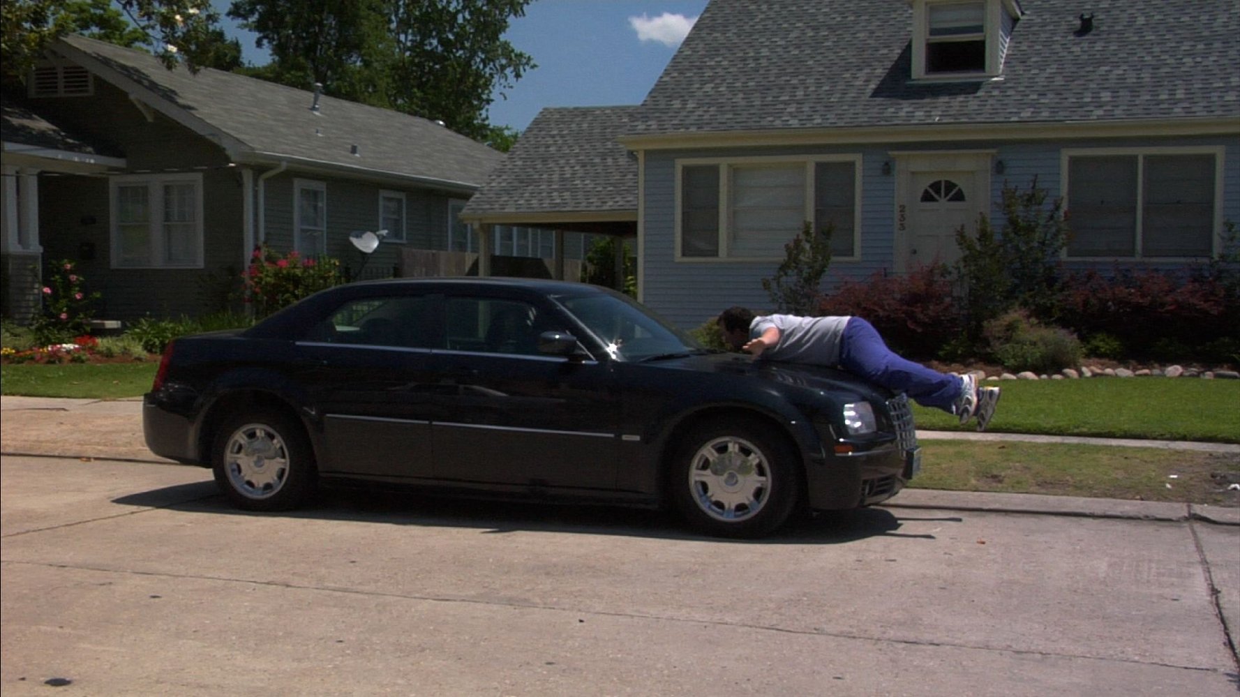 Steve Zissis