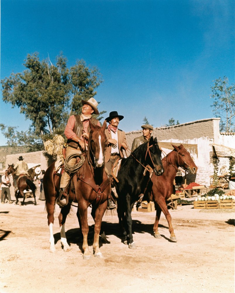 Patrick Wayne