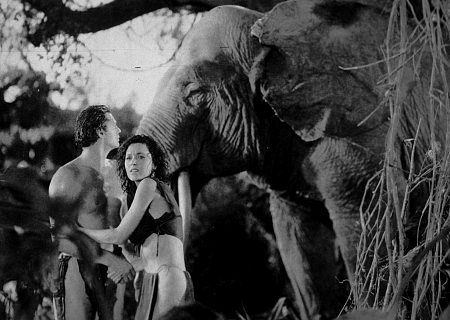 Johnny Weissmuller