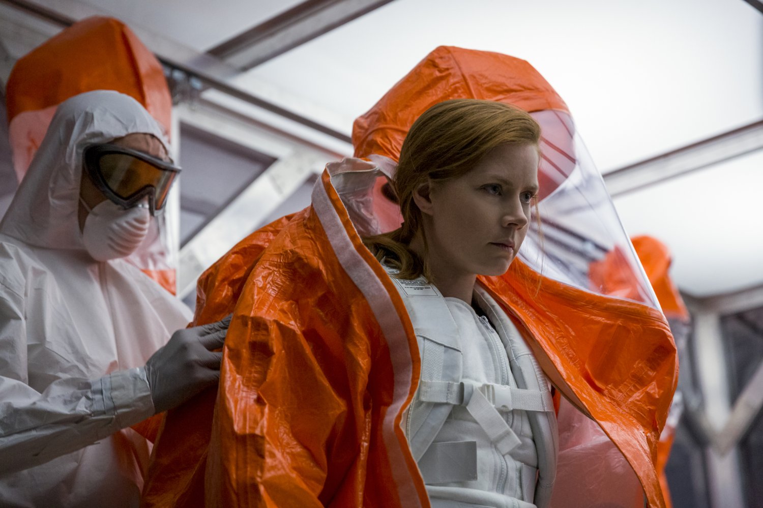 Amy Adams
