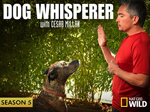 Cesar Millan