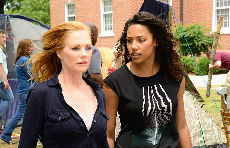 Marg Helgenberger