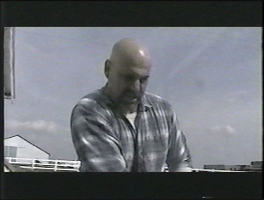 Ari Bavel