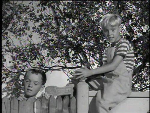 Billy Booth