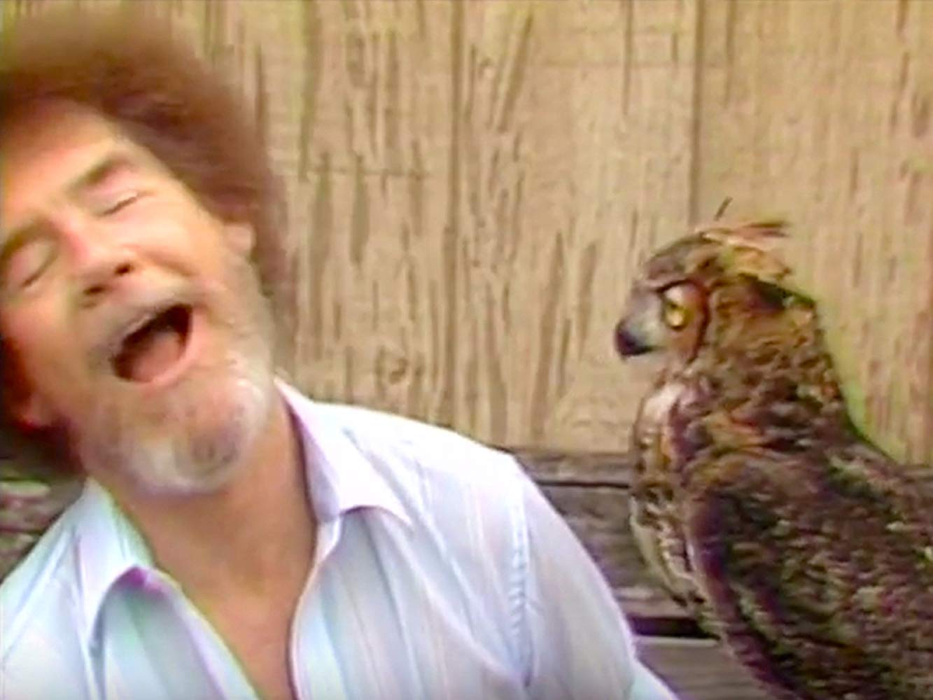 Bob Ross