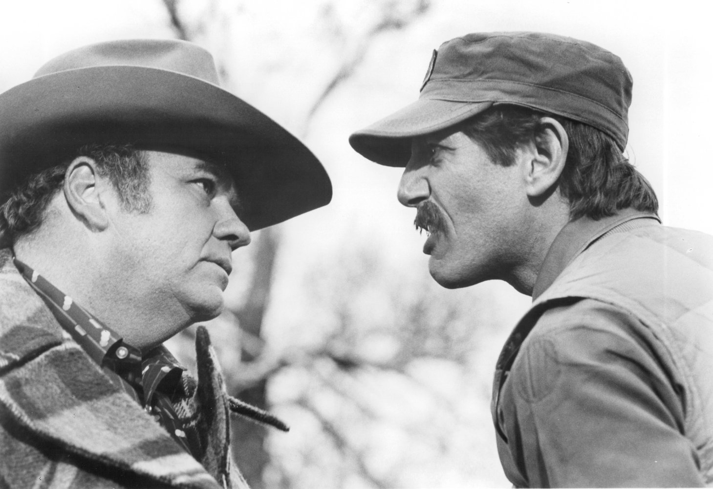 Hoyt Axton