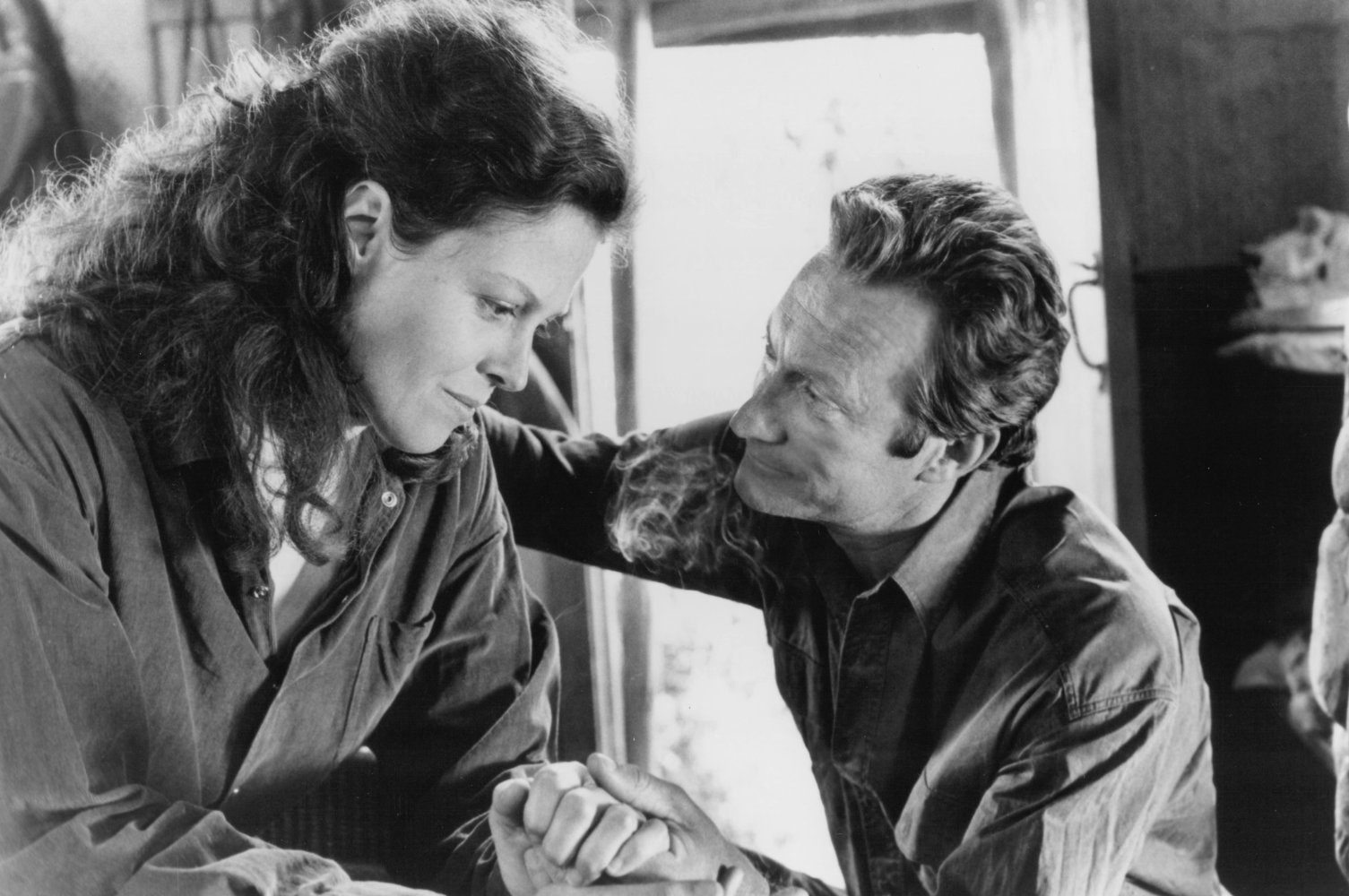 Bryan Brown