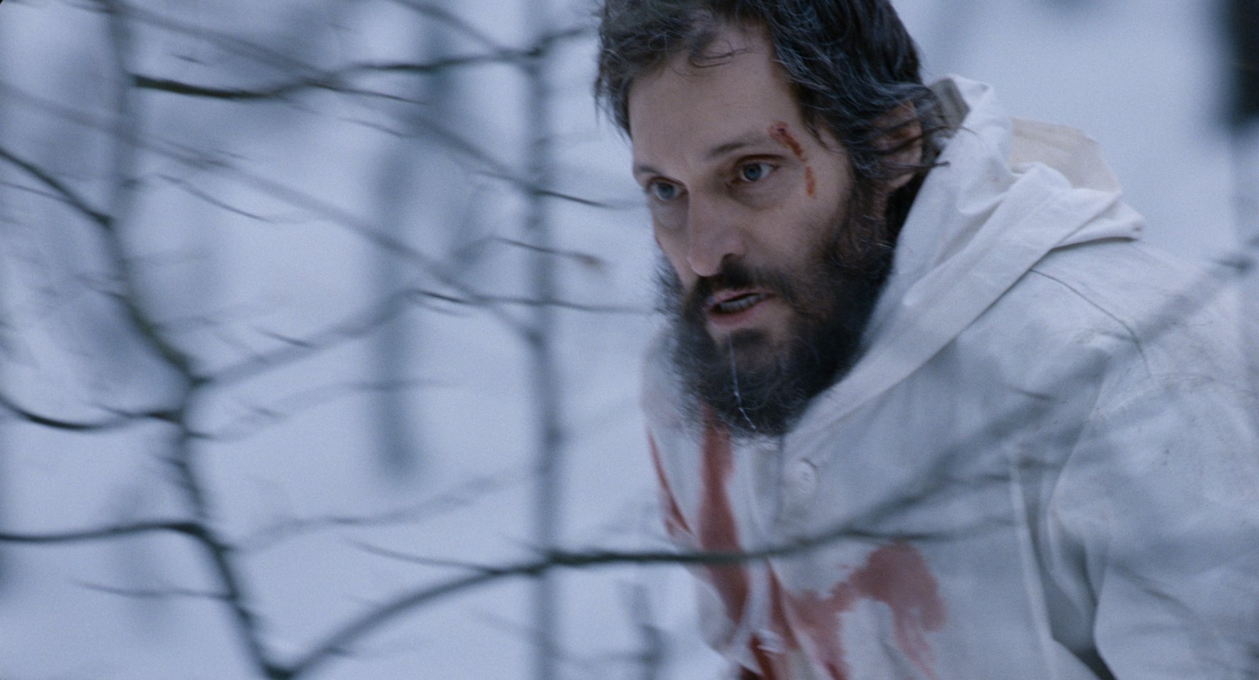 Vincent Gallo