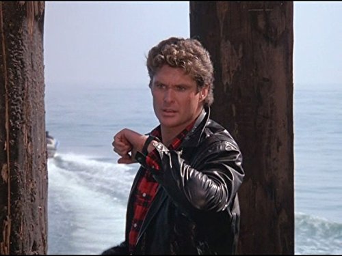 David Hasselhoff