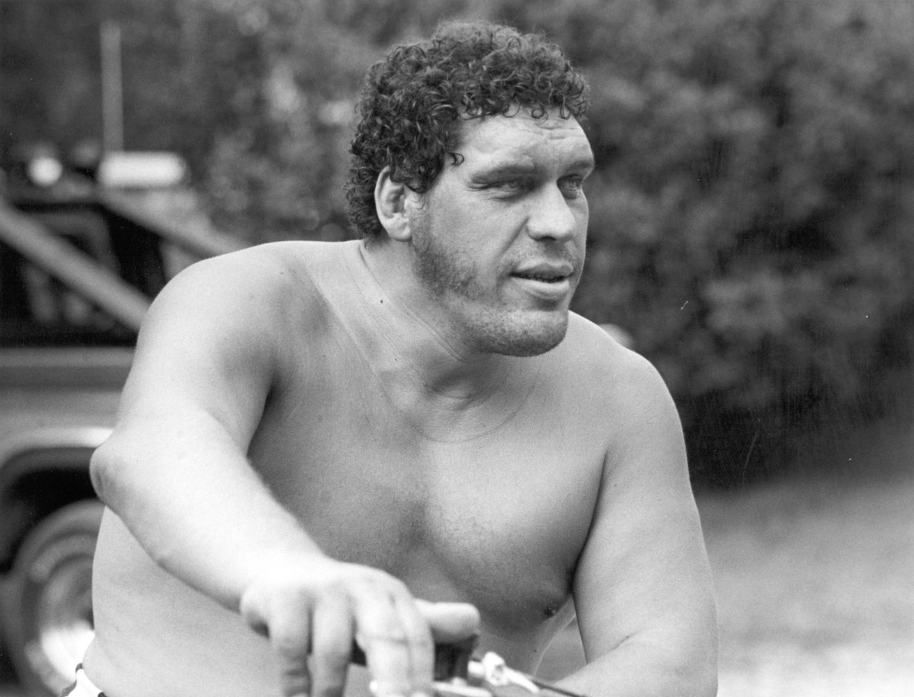 André the Giant