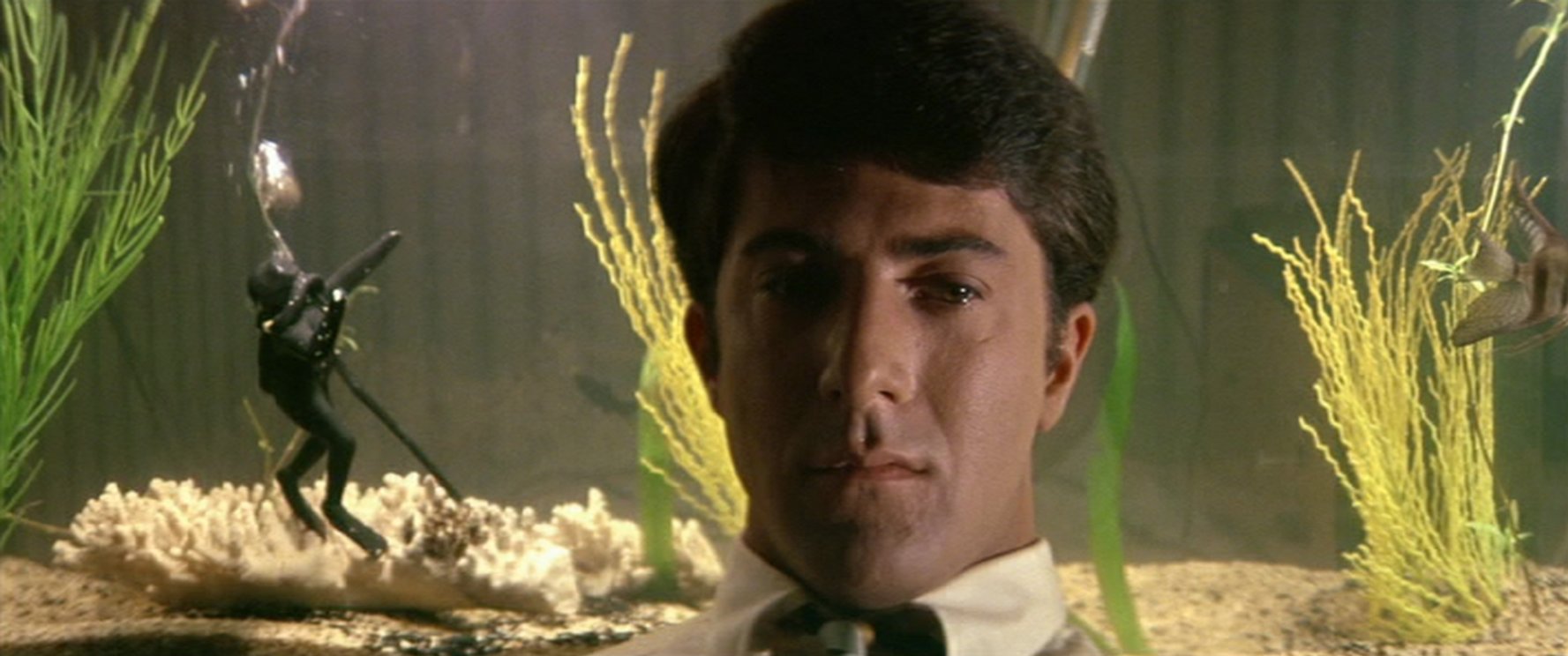 Dustin Hoffman