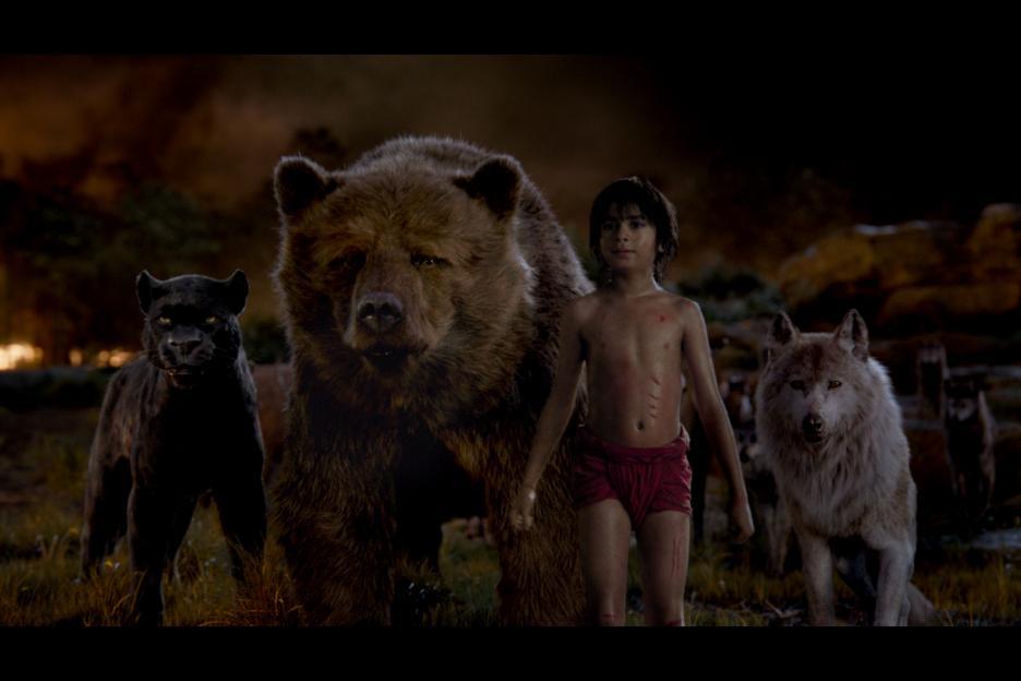 Neel Sethi