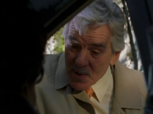 Dennis Farina