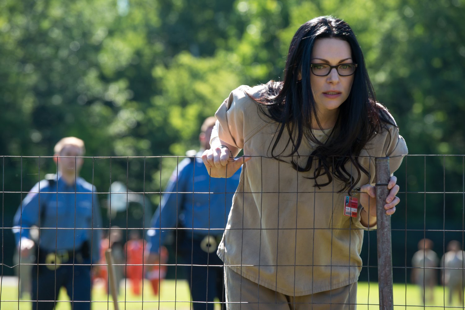 Laura Prepon