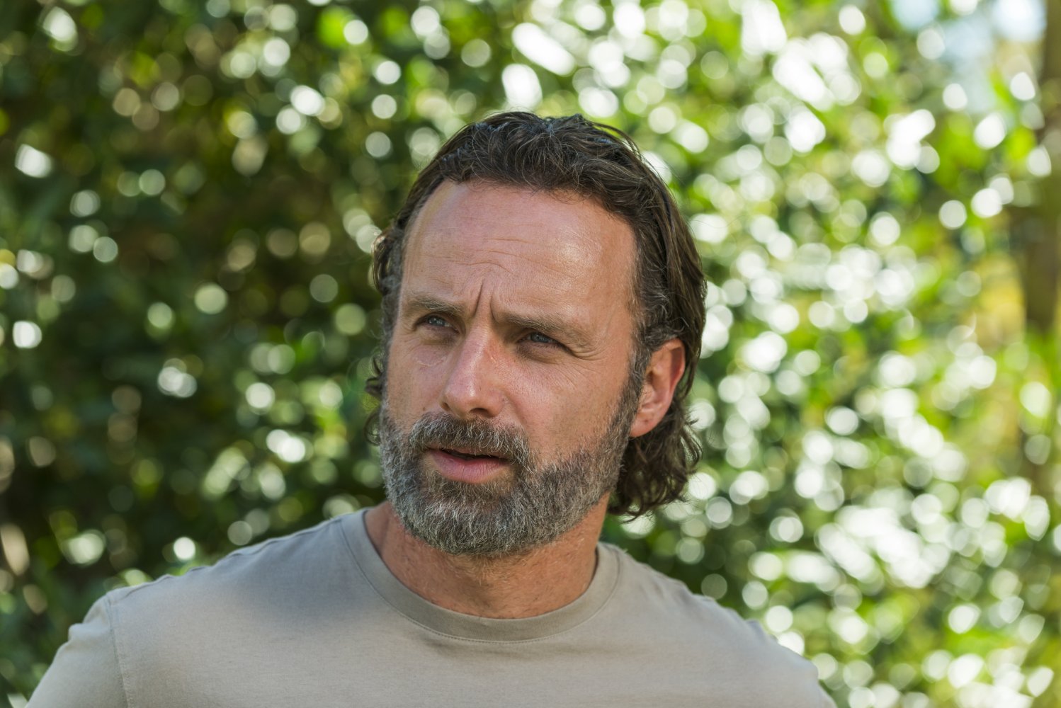 Andrew Lincoln