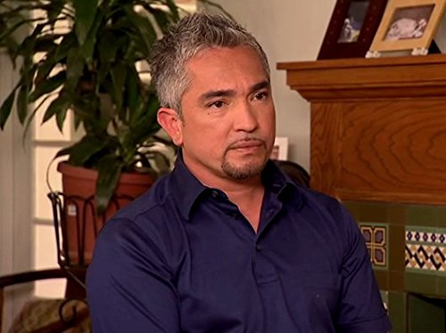 Cesar Millan