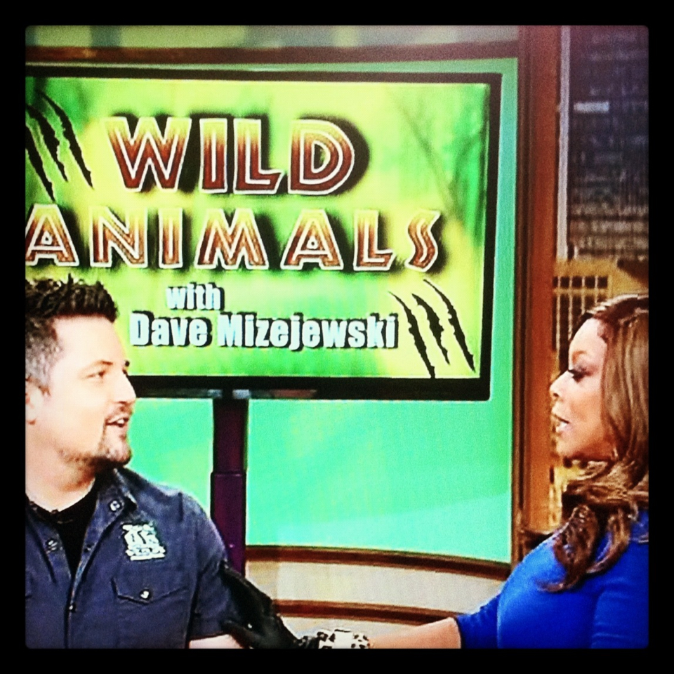 David Mizejewski