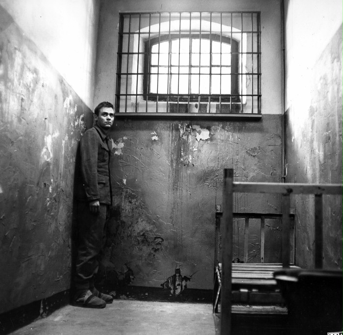 Sylvester Groth