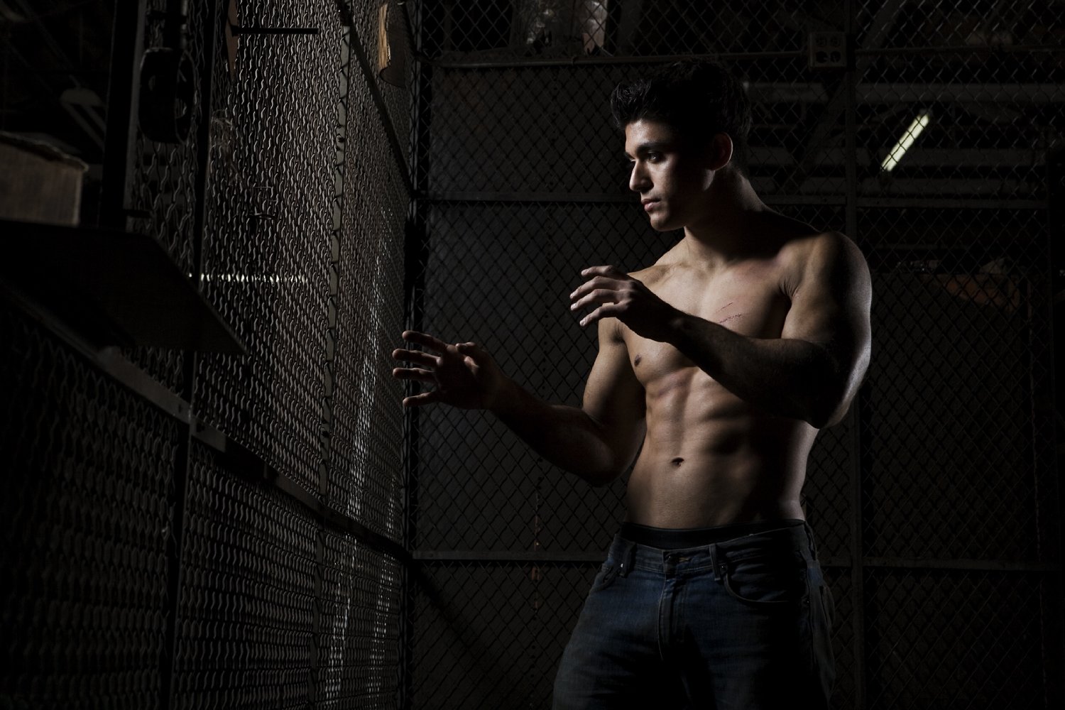 Alex Alegria
