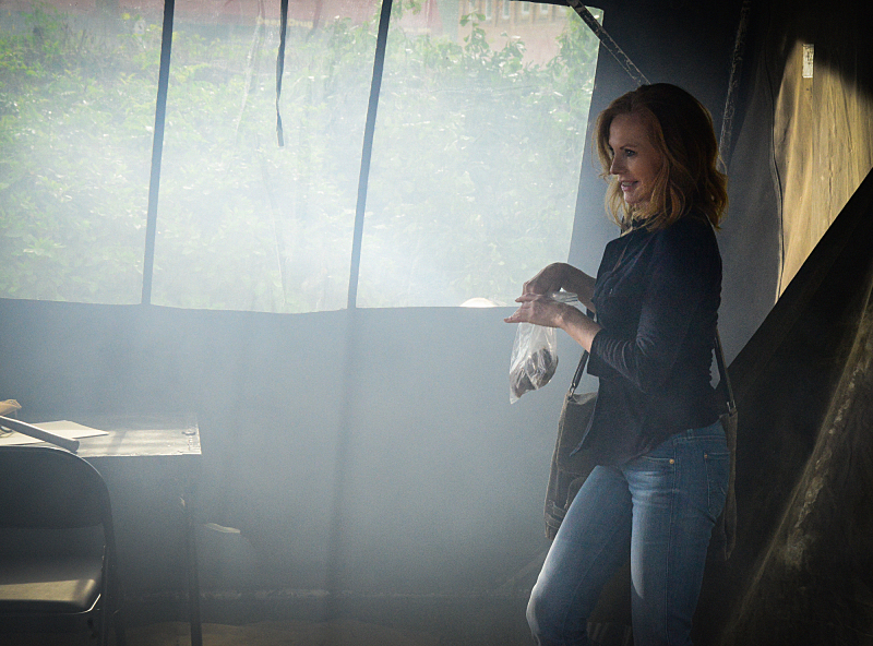 Marg Helgenberger