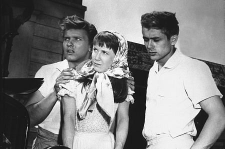 Julie Harris