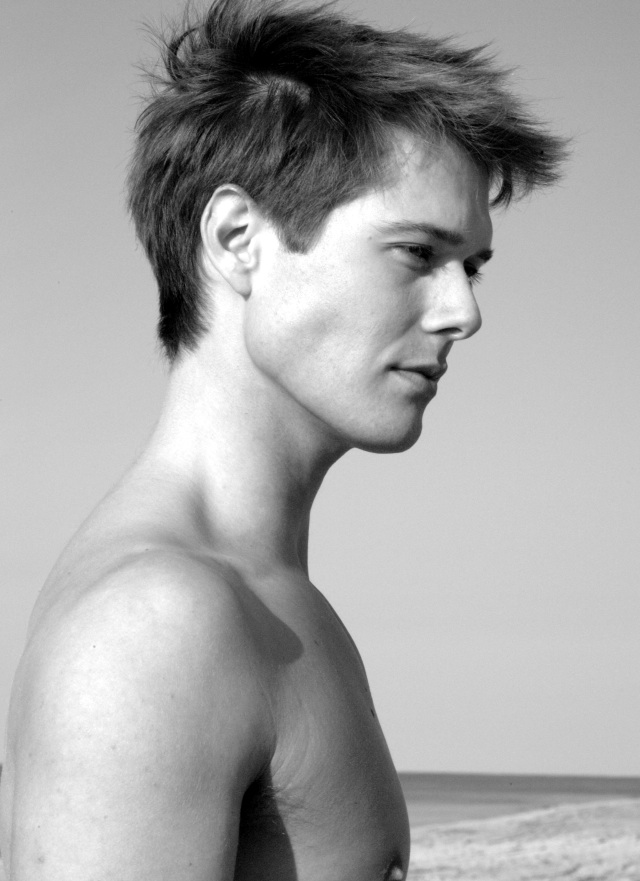 Will Taylor