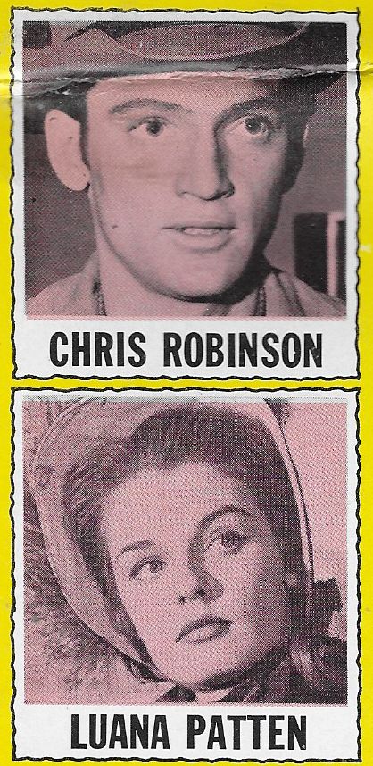 Chris Robinson