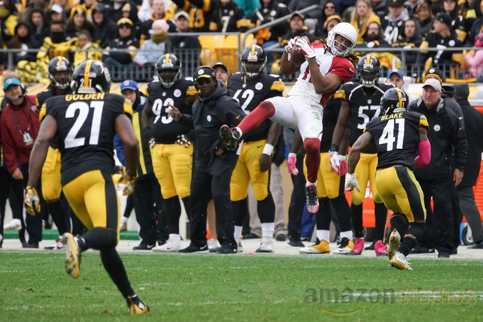 Larry Fitzgerald