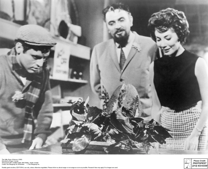 Jackie Joseph