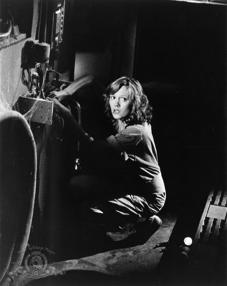 Wendy Schaal