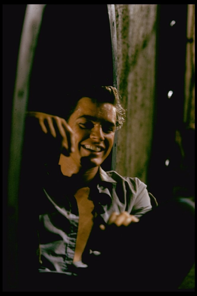 Richard Beymer