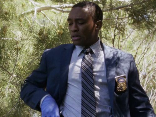 Lee Thompson Young