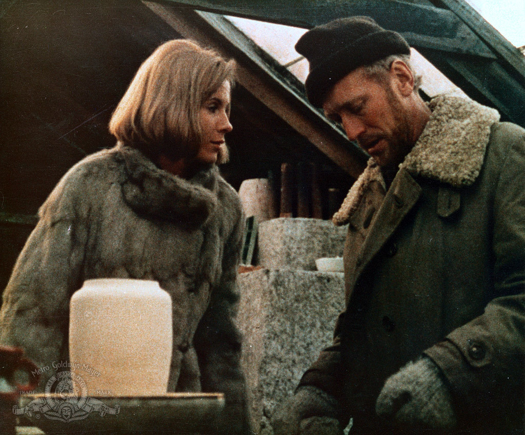 Bibi Andersson