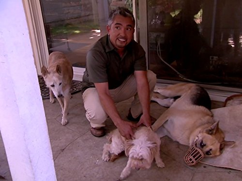 Cesar Millan