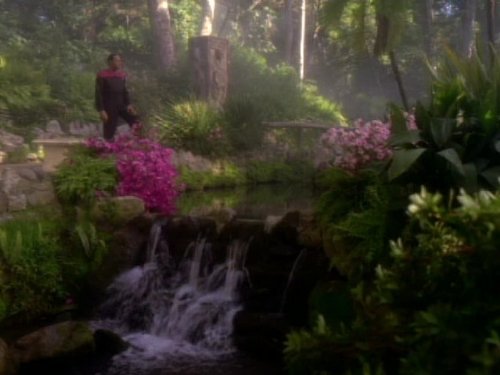 Avery Brooks