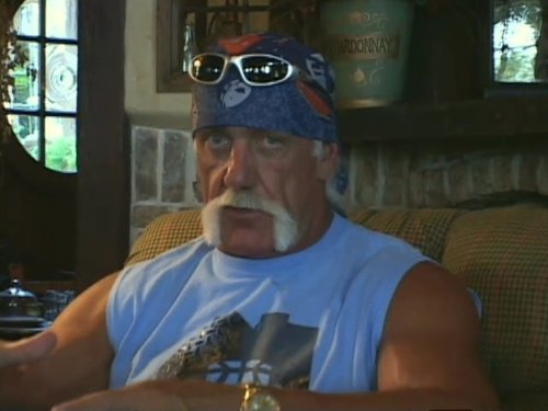 Hulk Hogan