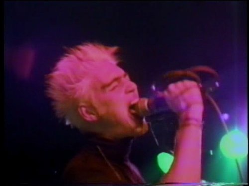 Neil Forrester