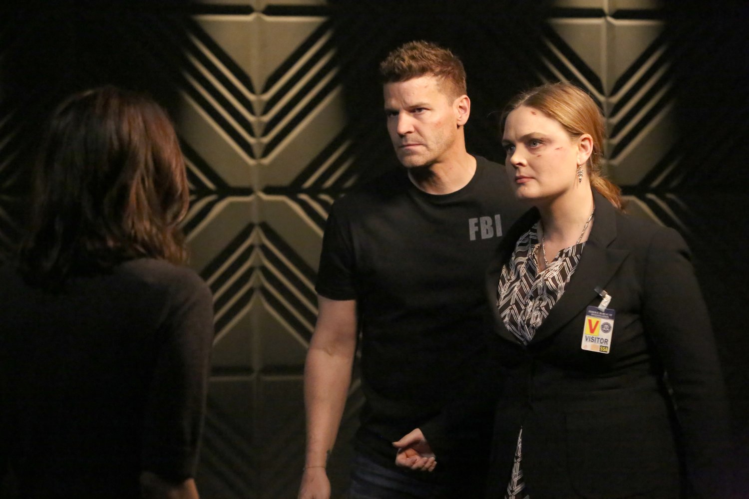 David Boreanaz