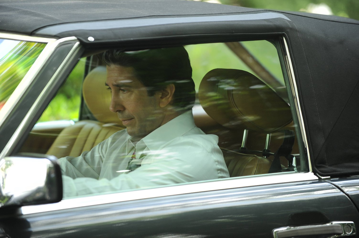 David Schwimmer