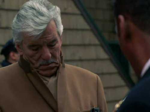 Dennis Farina