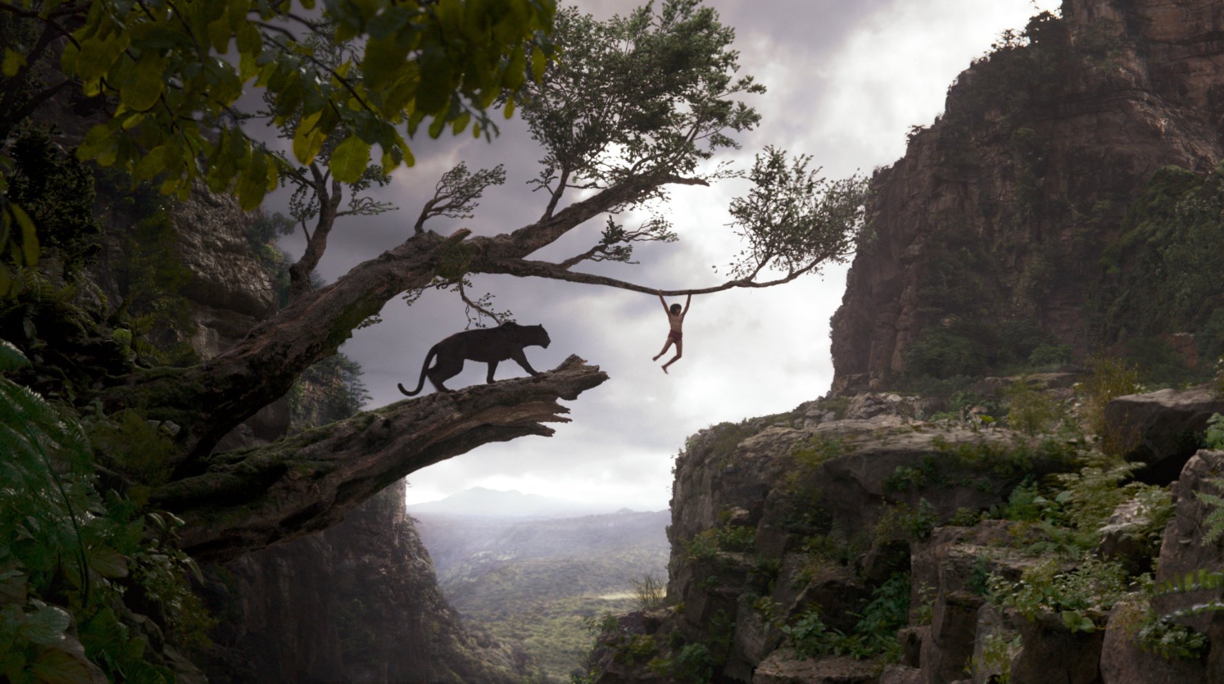 Neel Sethi