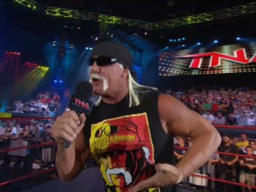 Hulk Hogan