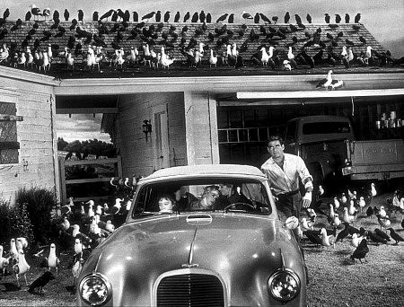 Rod Taylor