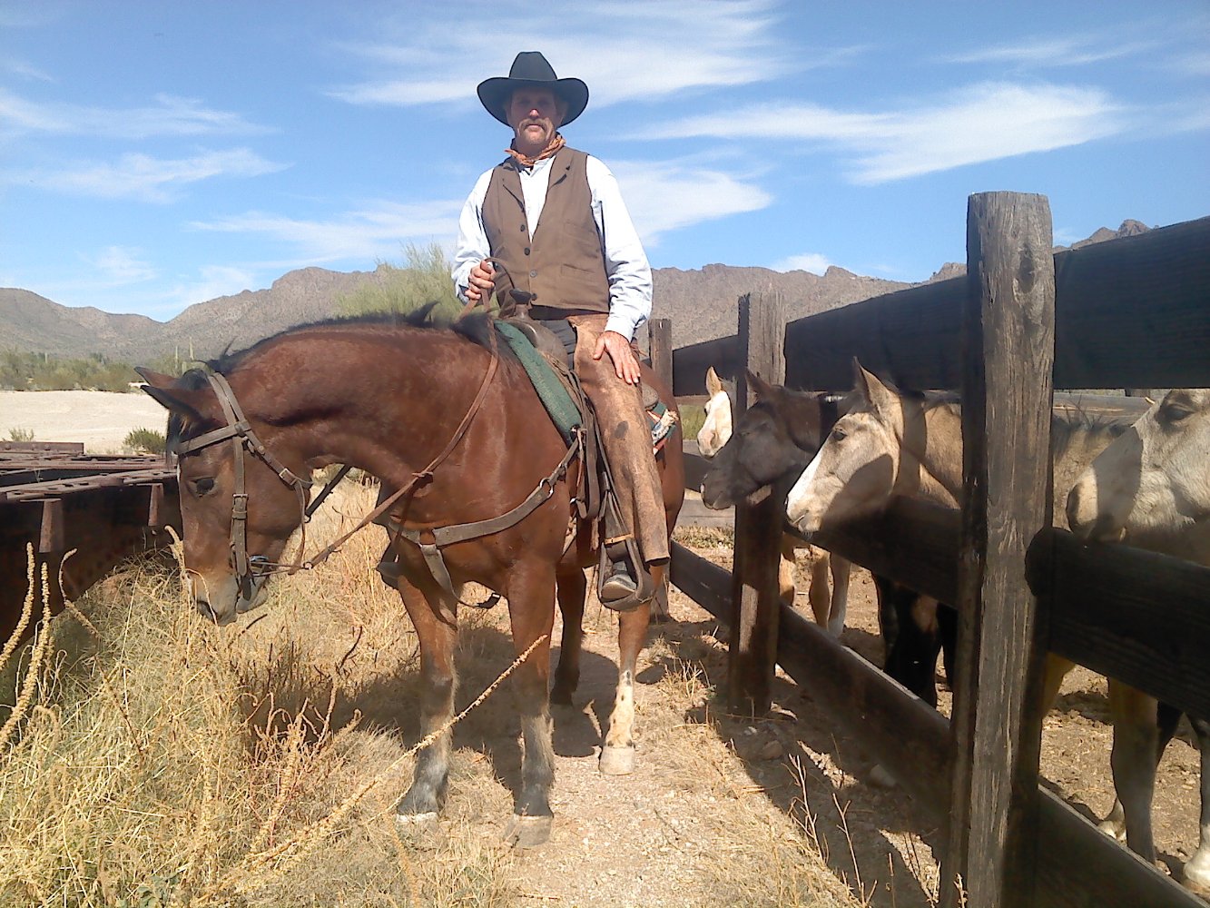 Tucson Vernon Walker
