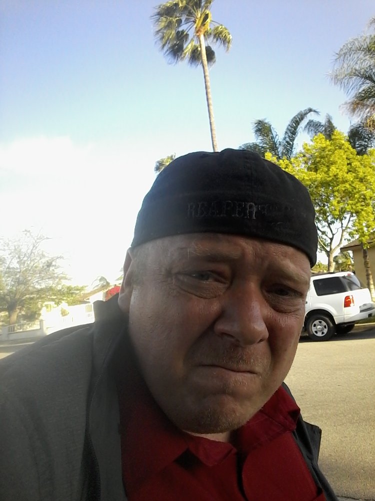 Damian Forest Light