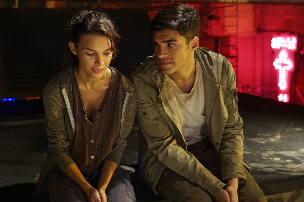 Sean Teale