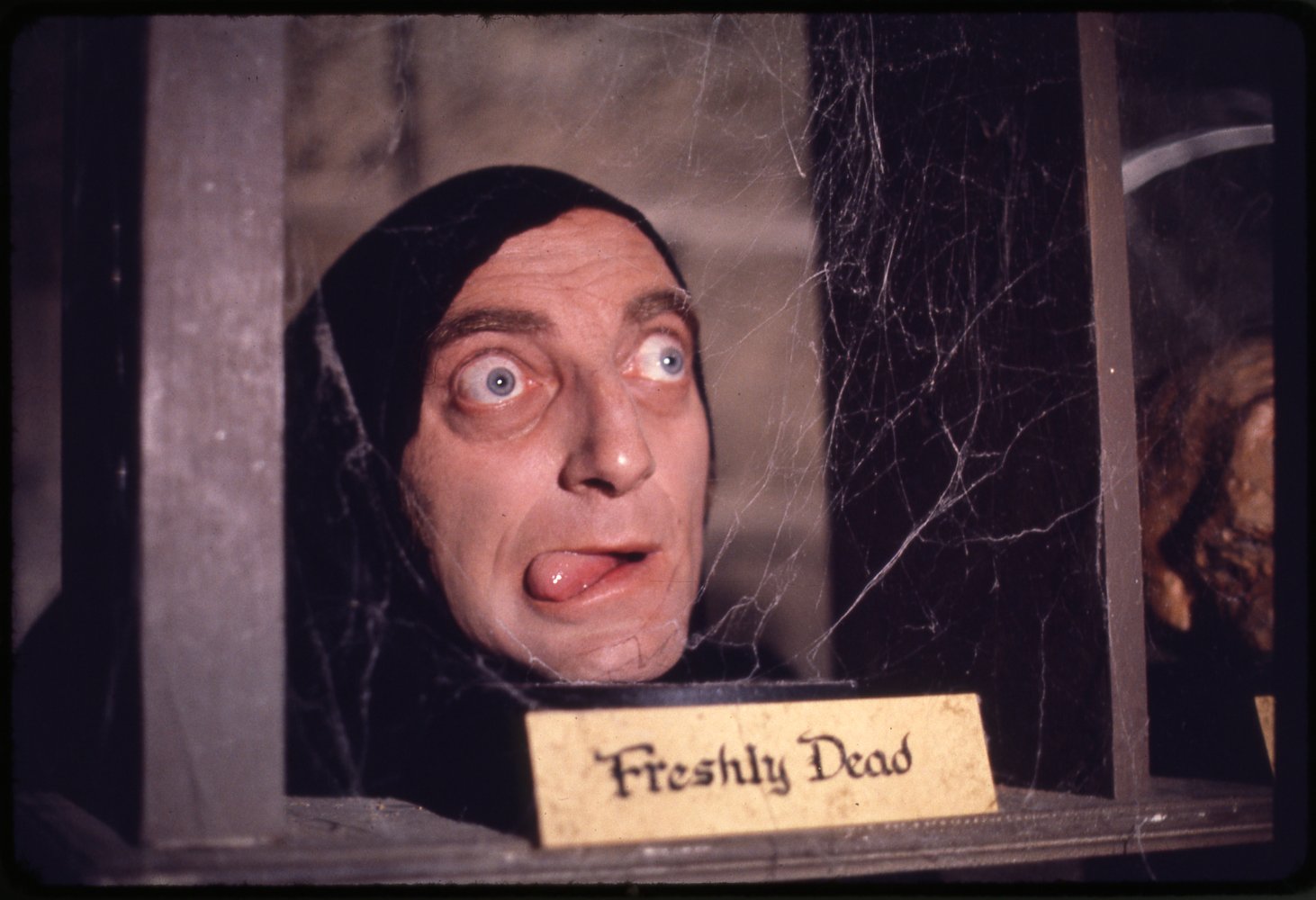Marty Feldman