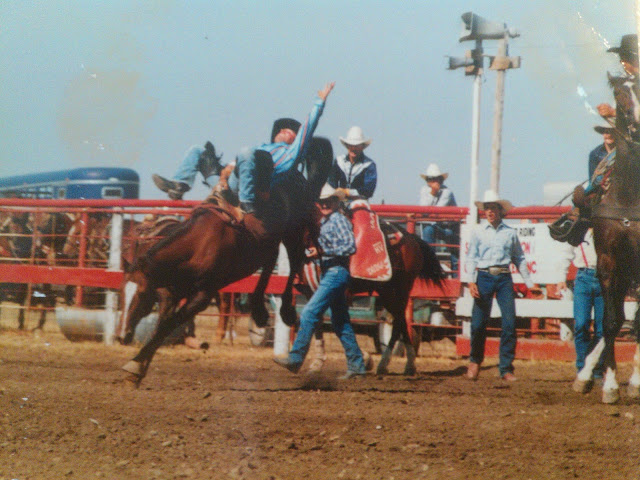 Shawn C. Orr