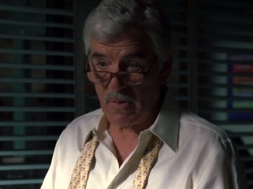 Dennis Farina