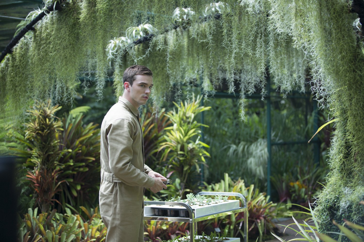Nicholas Hoult